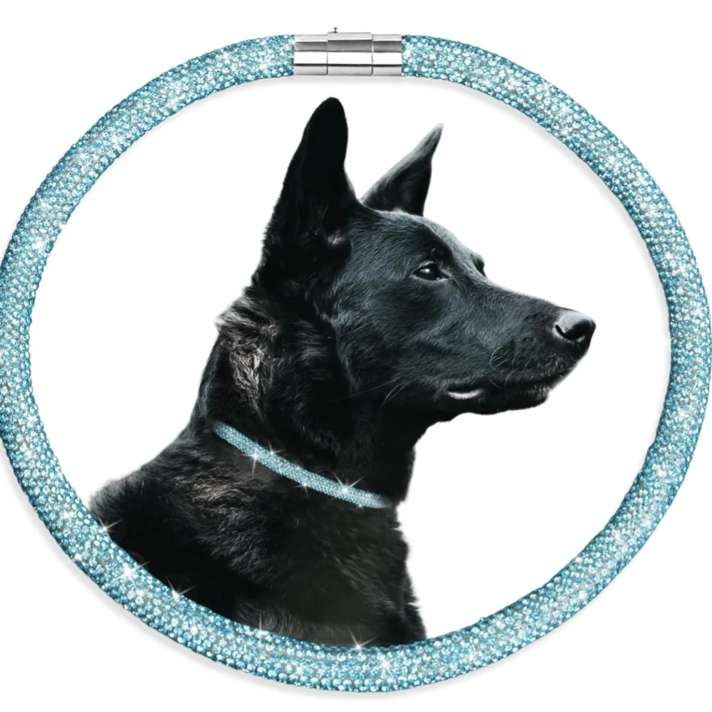 Fashion Dog Collar 22